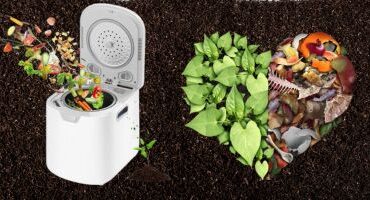 Compost Bins